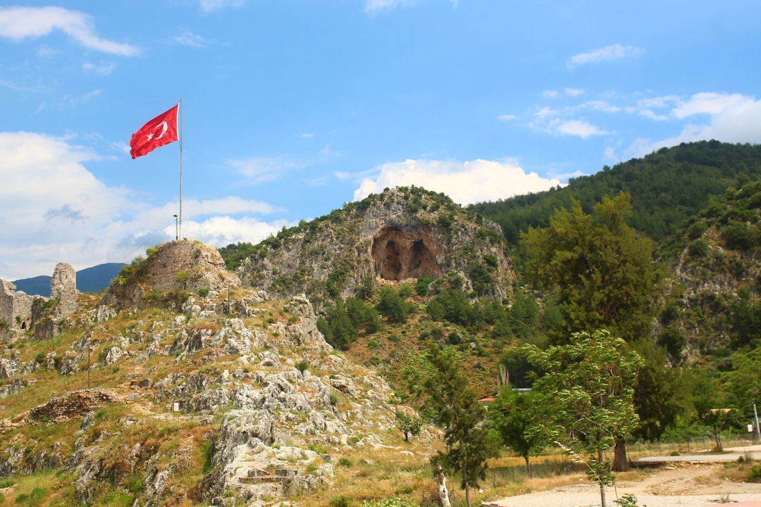 TPAOL Şirket Faaliyeti